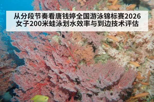 从分段节奏看唐钱婷全国游泳锦标赛2026女子200米蛙泳划水效率与到边技术评估
