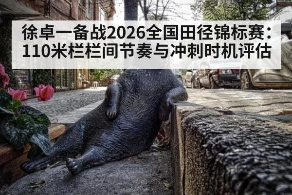 徐卓一备战2026全国田径锦标赛：110米栏栏间节奏与冲刺时机评估